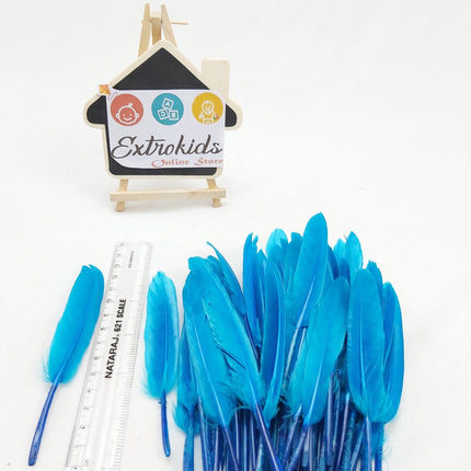 Feathers for activity - Mini - Plain - Skyblue - 20pc - EKC0693