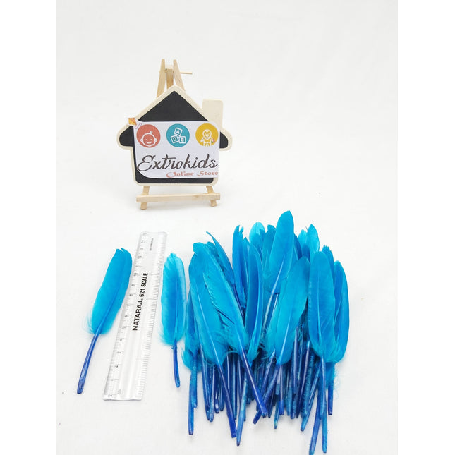 Feathers for activity - Mini - Plain - Skyblue - 20pc - EKC0693