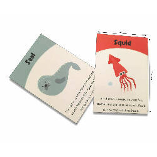 Sea animals shadow matching activity