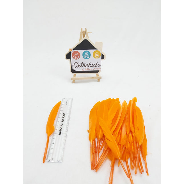 Feathers for activity - Mini - Plain - Orange - 20pc - EKC0691