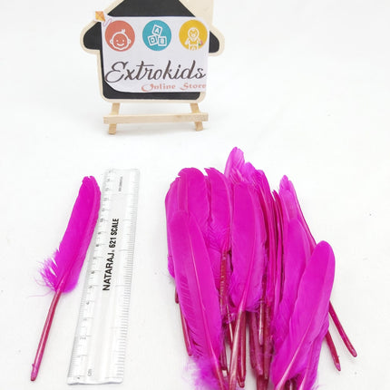 Feathers for activity - Mini - Plain - Dark Pink - 20pc - EKC0686