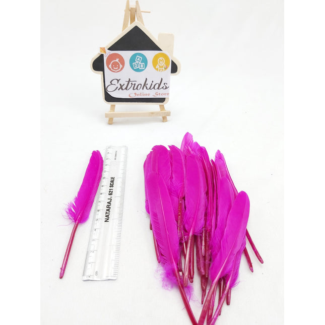 Feathers for activity - Mini - Plain - Dark Pink - 20pc - EKC0686