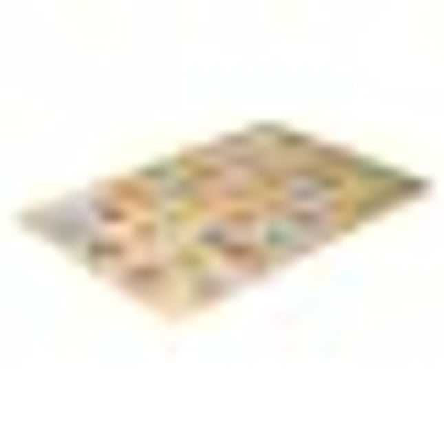 Hindi Alphabet Tray With Picture (With Knobs)