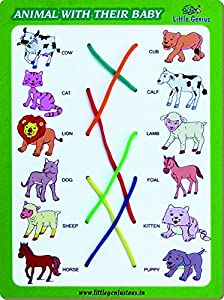 MATCH THE COLUMN-ANIMAL WITH THEIR BABY