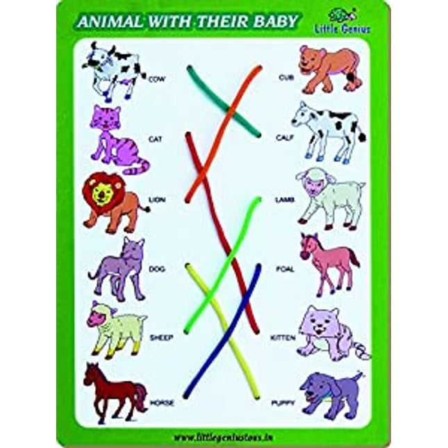 MATCH THE COLUMN-ANIMAL WITH THEIR BABY