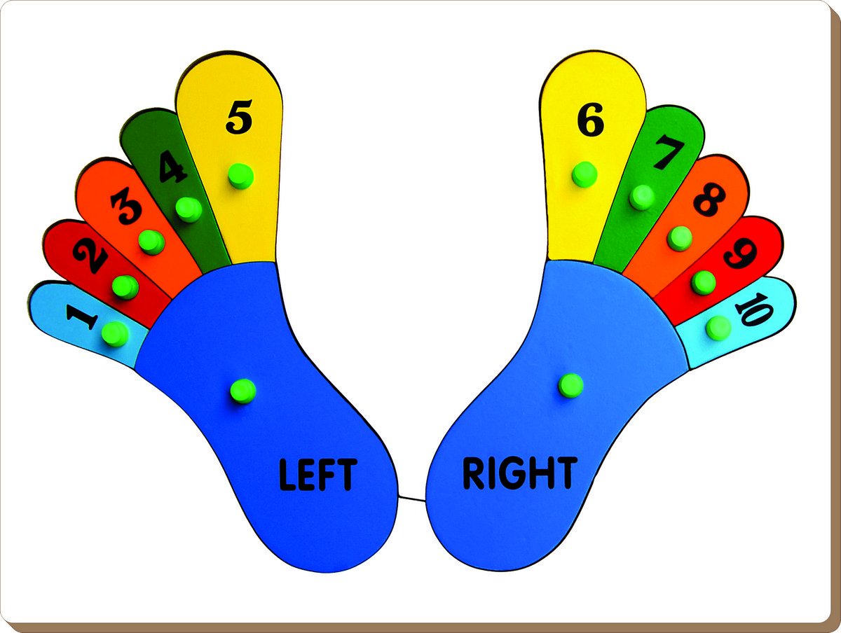 Toes Names/numbers NUMBER FEET – SchoolWizardApp Pvt. Ltd.