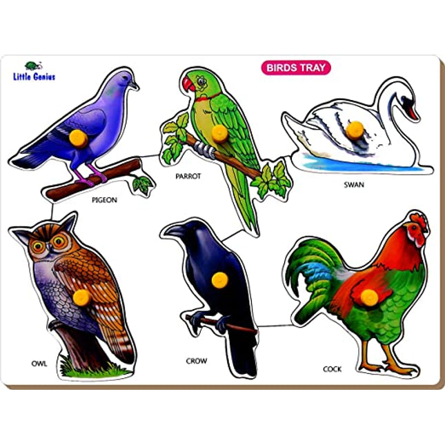 BIRDS-PIGEON TRAY