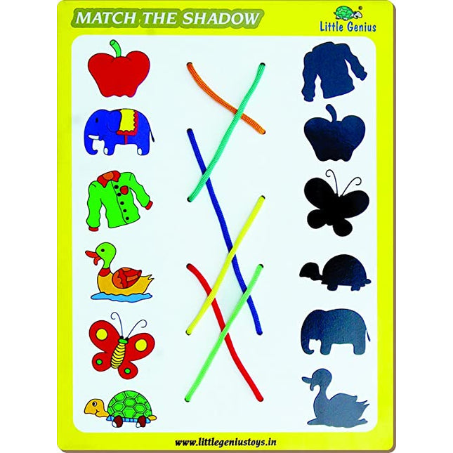 MATCH THE COLUMN-SHADOW