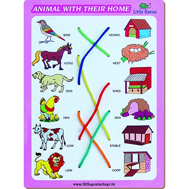 MATCH THE COLUMN-ANIMAL WITH THEIR HOME