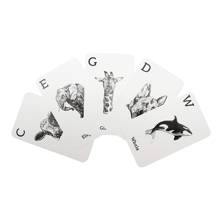 4D Cards - Animals - (KV) - EKT0412