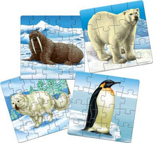 Load image into Gallery viewer, POLAR ANIMALS
