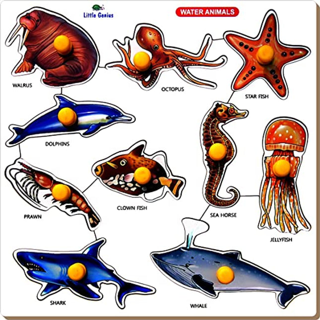 WATER ANIMALS TRAY-LARGE WITH BIG KNOB