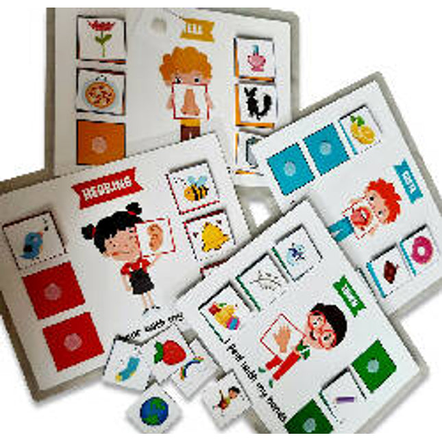 5 Senses sorting Activity