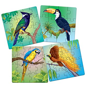 EXOTIC BIRDS