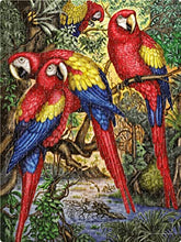 Load image into Gallery viewer, MACAW PARROTS
