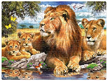 LION FAMILY