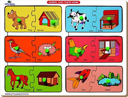 ANIMAL AND THEIR HOME