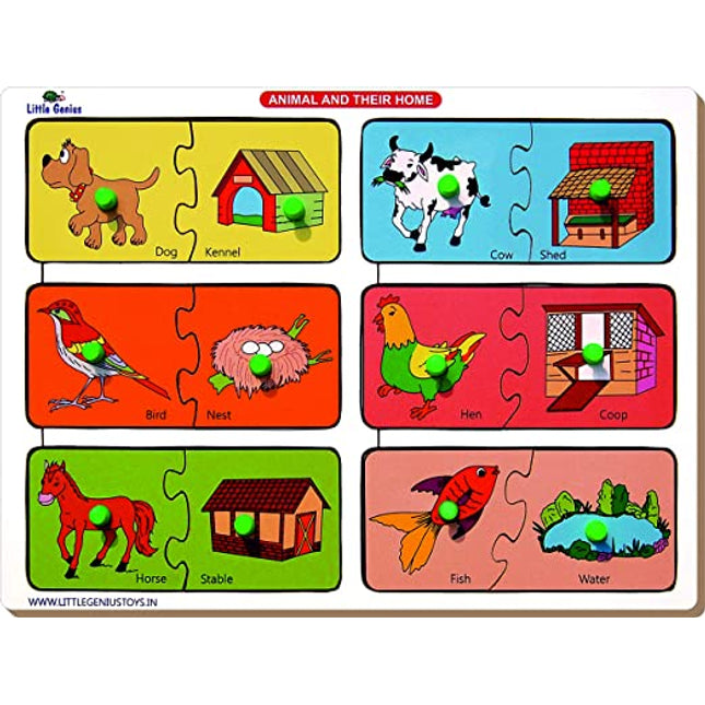 ANIMAL AND THEIR HOME