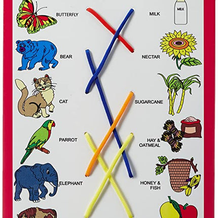 MATCH THE COLUMN-ANIMAL WITH THEIR FOOD