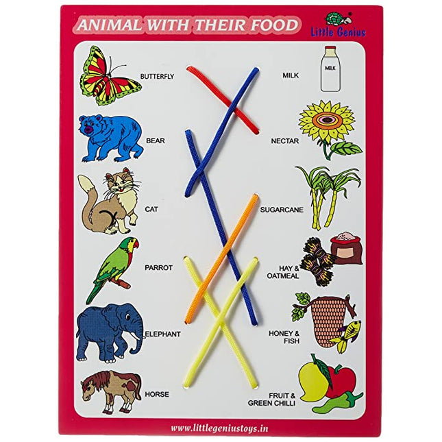 MATCH THE COLUMN-ANIMAL WITH THEIR FOOD