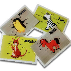 Animal Body Parts Flashcards- Pack of 10
