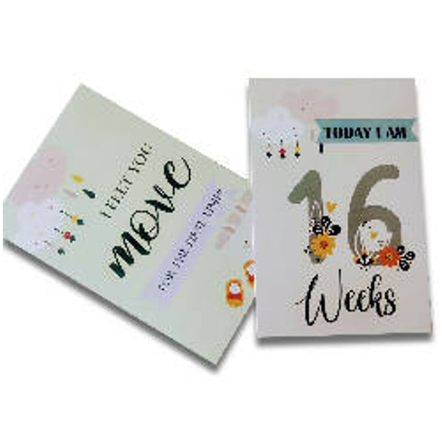 Pregnancy Milestones Flashcards- Pack of 24