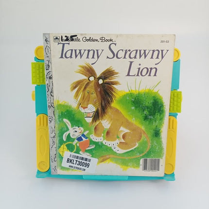 Tawny scrawny lion - BKLT30099