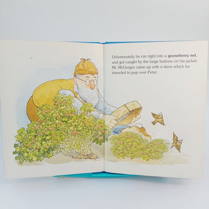 Where s Peter Rabbit ? A lift the flap book - BKLT30209