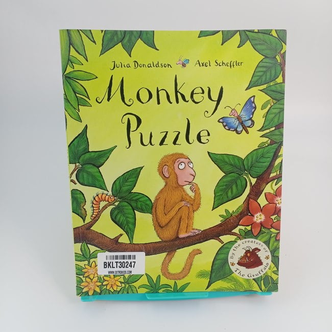 Monkey puzzle - BKLT30247