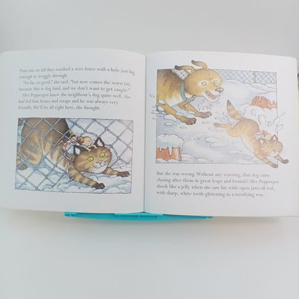 mrs pepperpot and the treasure - BKLT30327