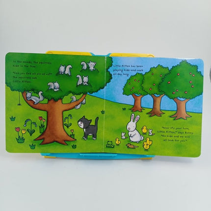 little kitten - BKLT30448