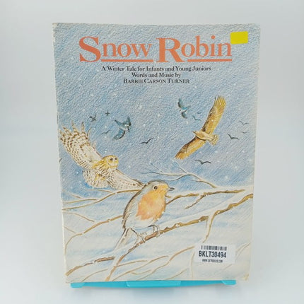 snow robin - BKLT30494