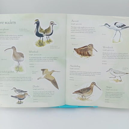 birds sticker book - BKLT30497