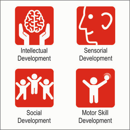 Sea Animals Combo Puzzle