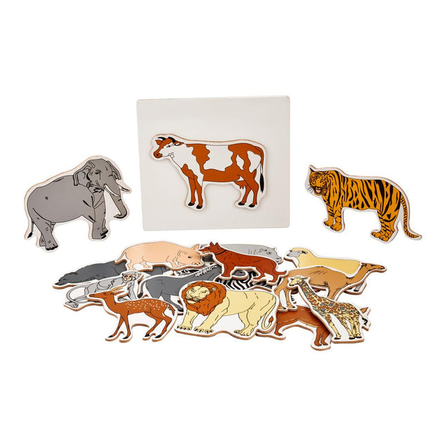 Magnetic Animals