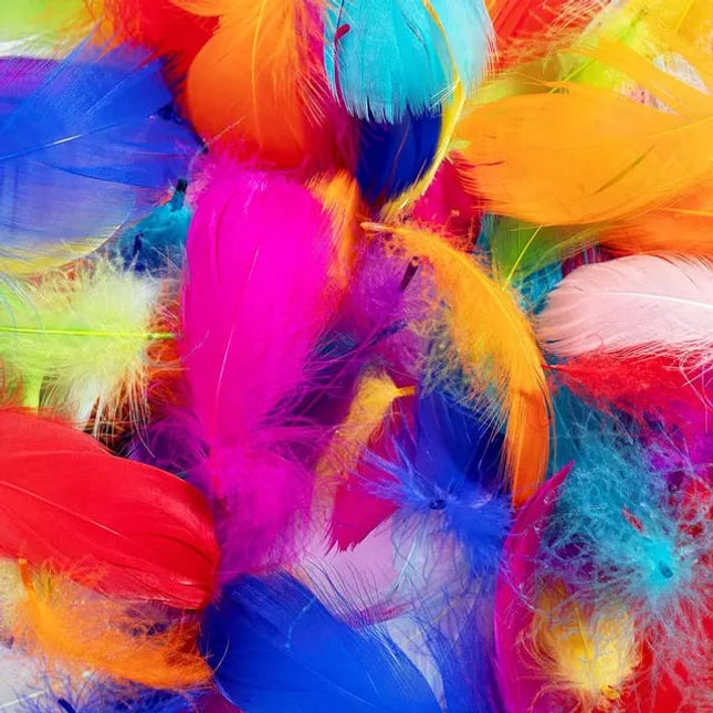 FEATHER SOFT BIG MULTI (10pcs) (FSBM) - EKC1958