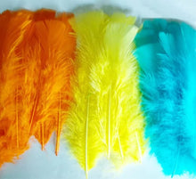 Load image into Gallery viewer, FEATHER SOFT BIG MULTI (10pcs) (FSBM) - EKC1958
