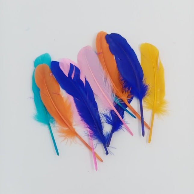 Feather Hard - Big - Multi Color - 10 pc - EKC2013