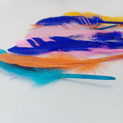 Feather Hard - Big - Multi Color - 10 pc - EKC2013