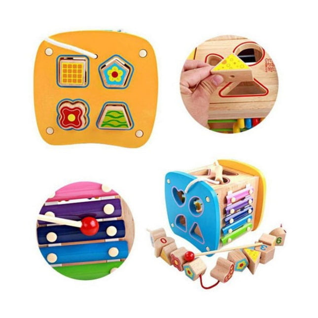 Extrokids Multi Coloured Wooden Different Multi Function Power Box Shapes Blocks Educational Toy Set for Kids - EKR0023