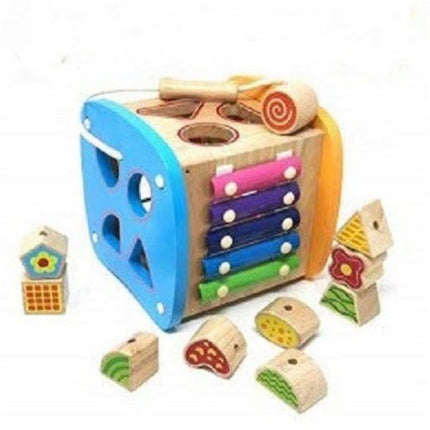 Extrokids Multi Coloured Wooden Different Multi Function Power Box Shapes Blocks Educational Toy Set for Kids - EKR0023