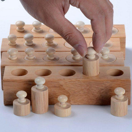 Extrokids Wooden Montessori Sensorial Material Family Set Mini Knobbed Cylinder Blocks - EKT1899