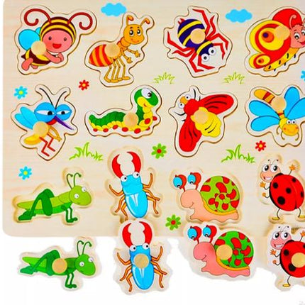 Extrokids Children Educational Wooden Insect Puzzle with Knob - EKT1912