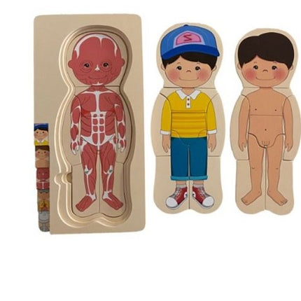 Extrokids Wooden Human Body Anatomy Educational Puzzle - Boy - EKT2014