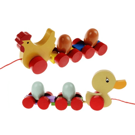 Duck with Egg pull along Toy - EKT2110