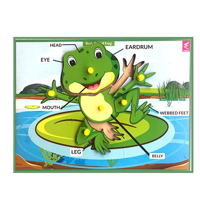 Extrokids Wooden Frog Parts Learning Puzzle Peg Board - 12*9 inch - EKW0011