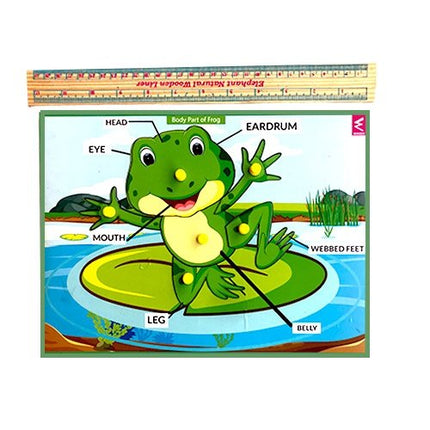 Extrokids Wooden Frog Parts Learning Puzzle Peg Board - 12*9 inch - EKW0011