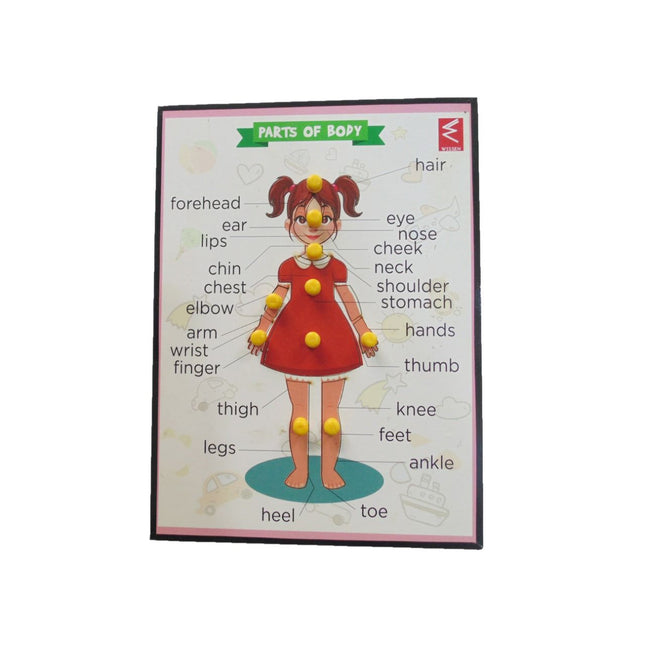 Wooden Parts of Body (Girl) Educational Knob Tray - EKW0098