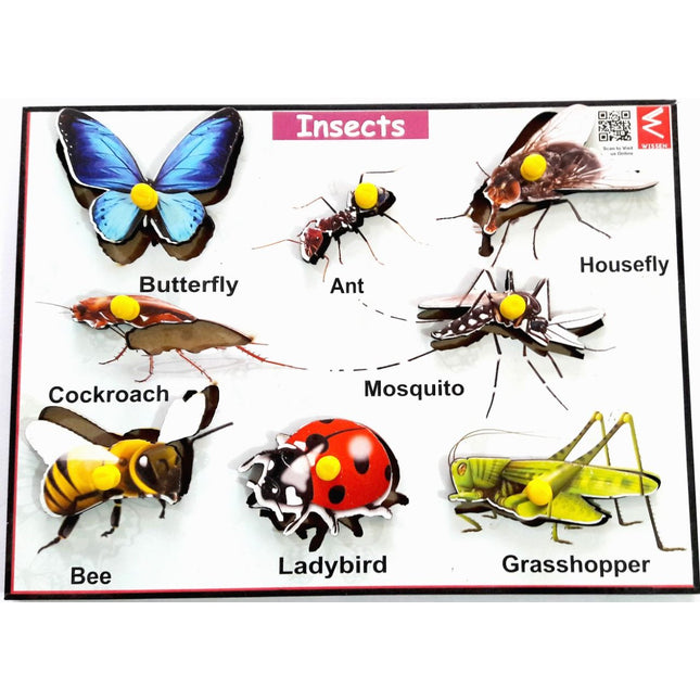 Wooden Insects Learning Educational Knob Tray - EKW0103