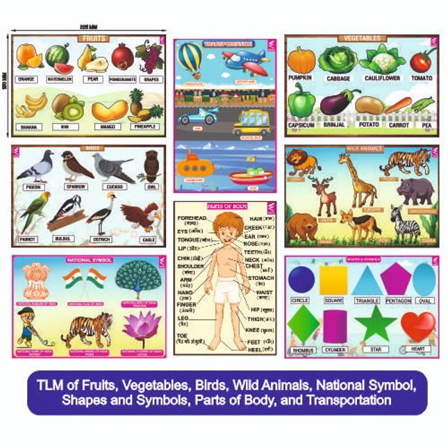 TLM Combo- Fruits, Vegetables, Animals, Birds, National Symbols, Shapes and Symbols Transportation, Parts of Body - EKW0145